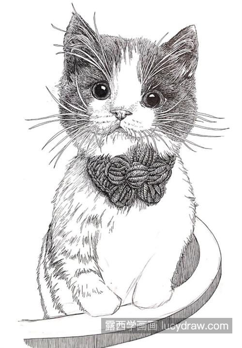 可爱的猫咪怎么画？小猫的钢笔画法是什么？