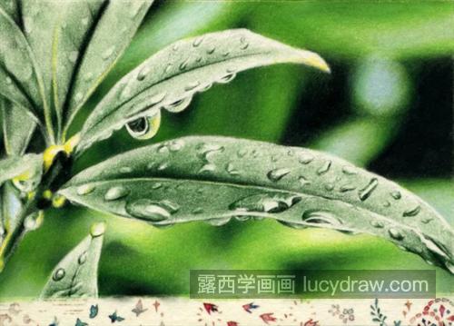 花叶上的雨滴怎么画？如何画出晶莹剔透的感觉？