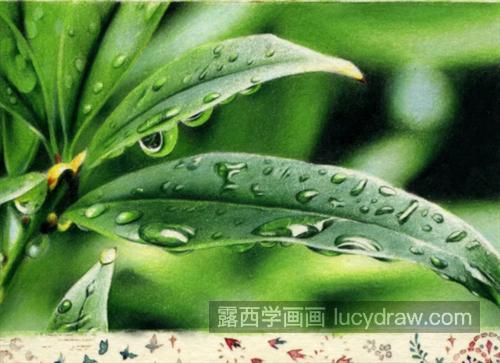 花叶上的雨滴怎么画？如何画出晶莹剔透的感觉？