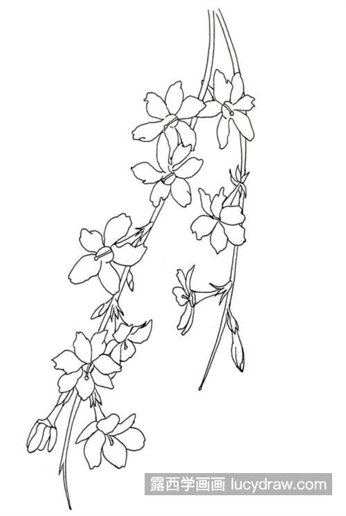 迎春花怎么画？黄素馨的钢笔画教程是什么？