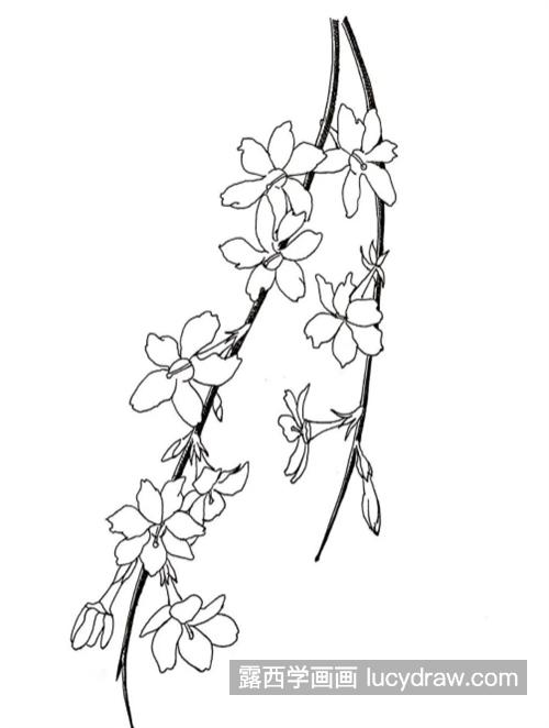 迎春花怎么画？黄素馨的钢笔画教程是什么？