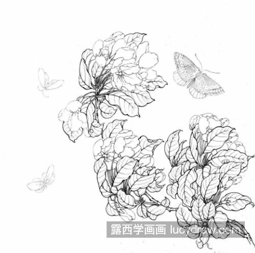 海棠蝴蝶怎么画？详细的绘画过程是什么？