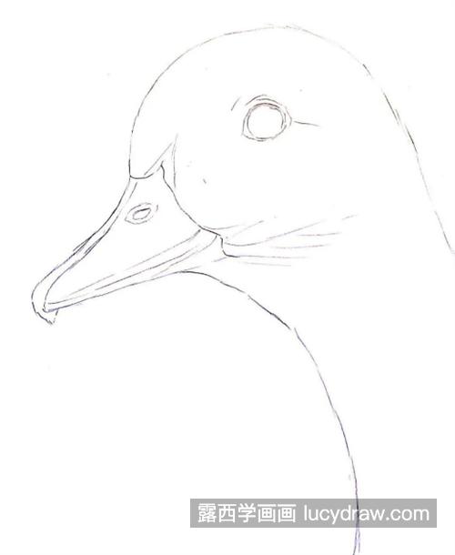 鸭子怎么画？具体的绘画流程是什么？
