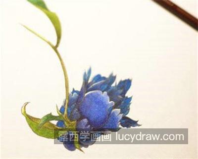 蓝色花朵怎么画？简单的丙烯画教程是什么？