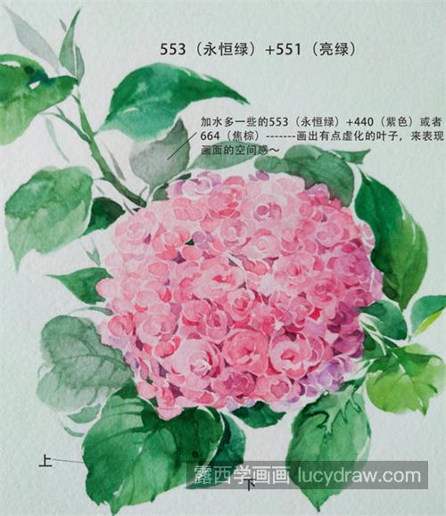 粉色绣球花怎么画？紫阳花的画法是什么？