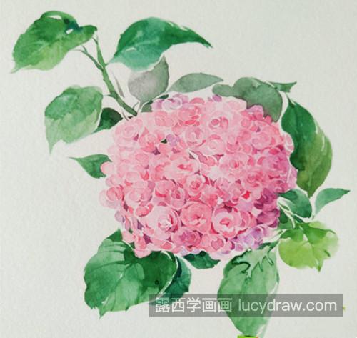 粉色绣球花怎么画？紫阳花的画法是什么？