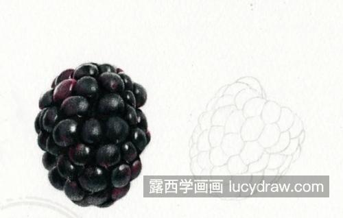 树莓怎么画？简单的彩铅画法是什么？