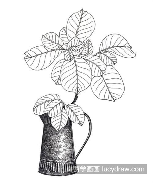 花瓶里的树叶怎么画？简单的绘画过程是什么？