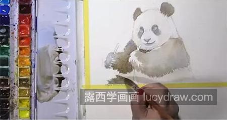 大熊猫怎么画？国宝的水彩绘画步骤有几步？
