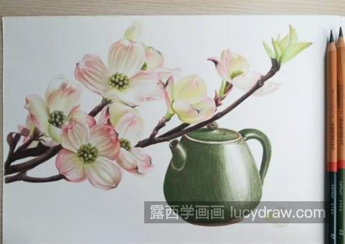 茱萸花怎么画？茶壶的彩铅画法是什么？