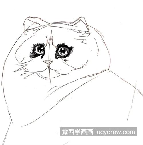 布偶猫怎么画？教你画一只肥猫