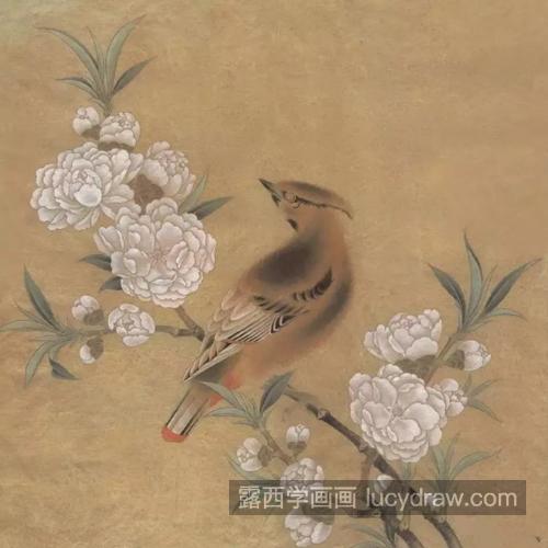 桃花山鸟怎么画？步骤教程是什么？