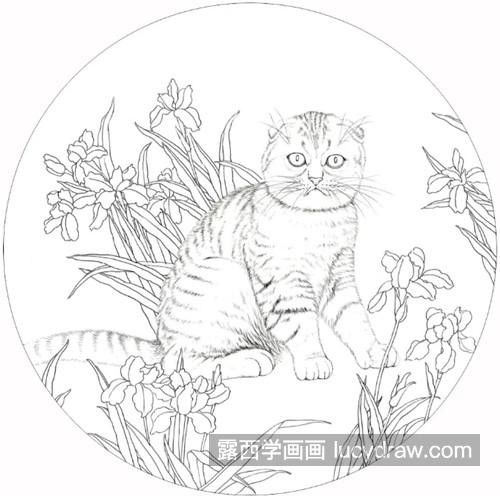 折耳猫怎么画？有哪些工笔画步骤？