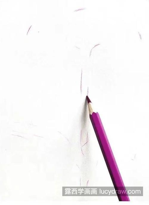 地雷花怎么画？紫茉莉的画法是什么？