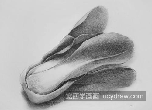 小白菜怎么画？海东青的素描画法是什么？