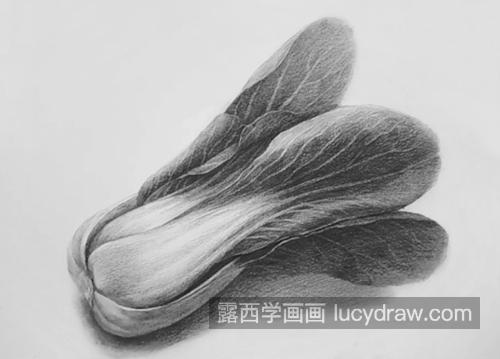 小白菜怎么画？海东青的素描画法是什么？