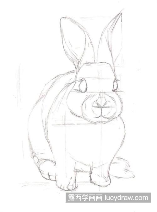小兔子怎么画？教你画一只可爱的兔子