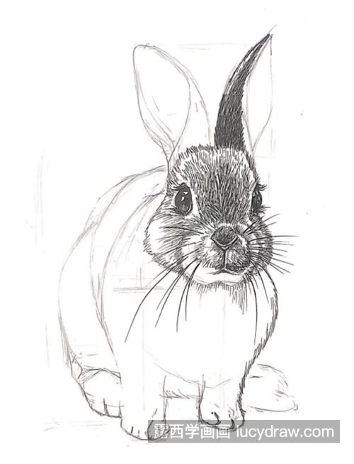 小兔子怎么画？教你画一只可爱的兔子