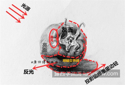 西红柿怎么画？番茄的素描画法是什么？