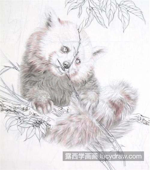 食铁兽怎么画？小熊猫的绘画流程是什么？