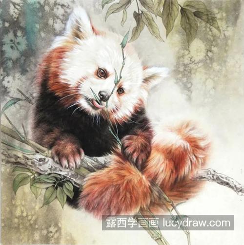 食铁兽怎么画？小熊猫的绘画流程是什么？
