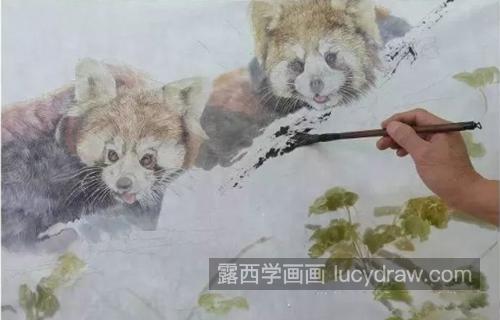 小浣熊怎么画？教你画两只工笔熊猫
