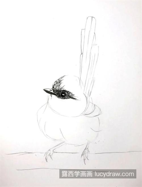 小鸟怎么画？有哪些钢笔画步骤？