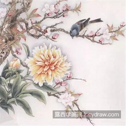 别离草怎么画？芍药的工笔画法是什么？