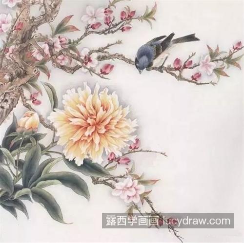 别离草怎么画？芍药的工笔画法是什么？