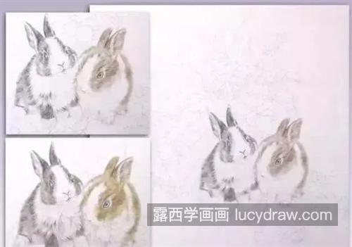 萝卜地里的兔子怎么画？教你画一对小兔子