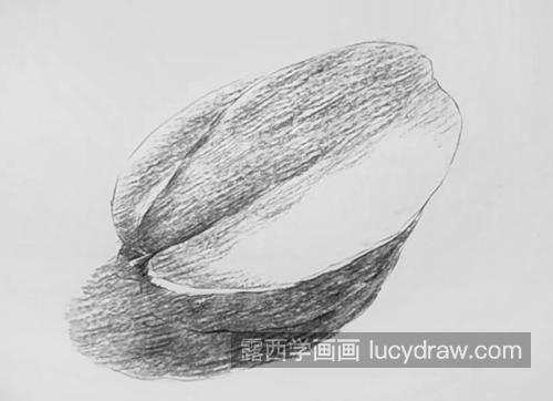 杨桃怎么画？五敛子的素描画法是什么？