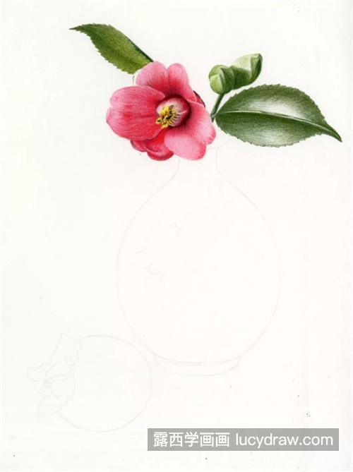 茶花柿子怎么画？有哪些具体的绘画步骤？