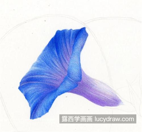 喇叭花扇子怎么画？牵牛花的绘画流程是什么？