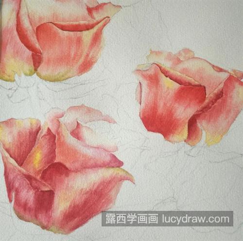 玫瑰花怎么画？手绘过程是什么？