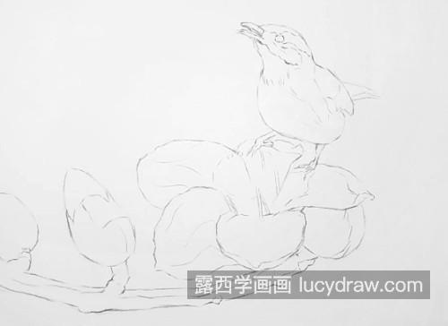 花鸟组合怎么画？详细的素描教程是什么？