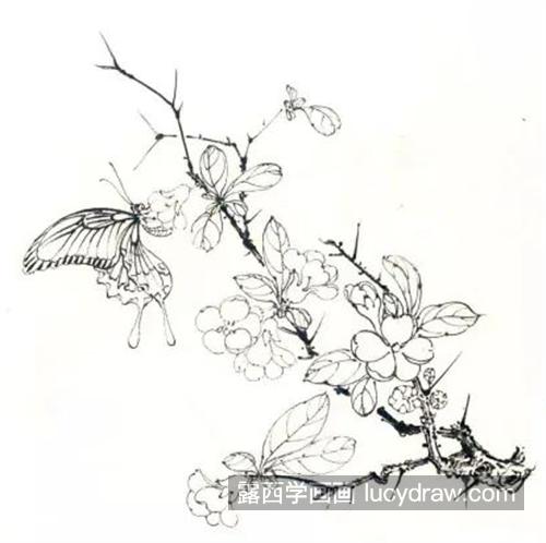黑凤蝶怎么画？海棠花的工笔画步骤有哪些？