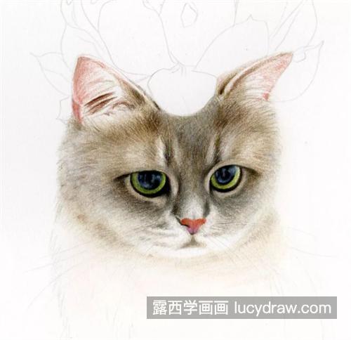 猫咪多肉怎么画？详细的绘画流程是什么？