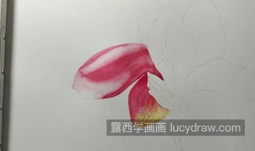 紫玉兰怎么画？详细的水彩画法是什么？