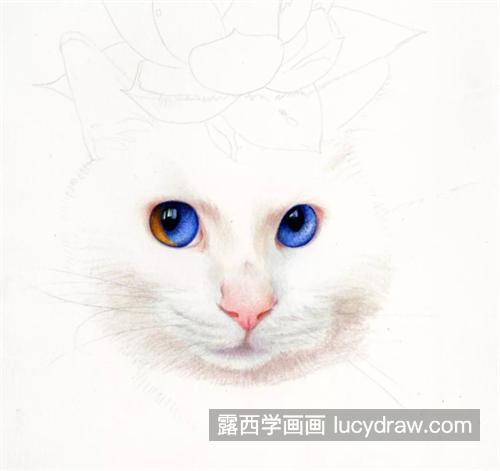 猫咪多肉怎么画？如何画白色毛发？