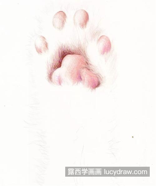 猫爪爱心怎么画？彩铅绘画流程是什么？