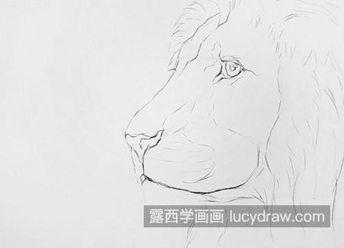 素描狮子怎么画？如何画狮子的脑袋？