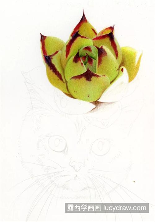 黄乌木怎么画？碧眼猫咪的彩铅画法是什么？