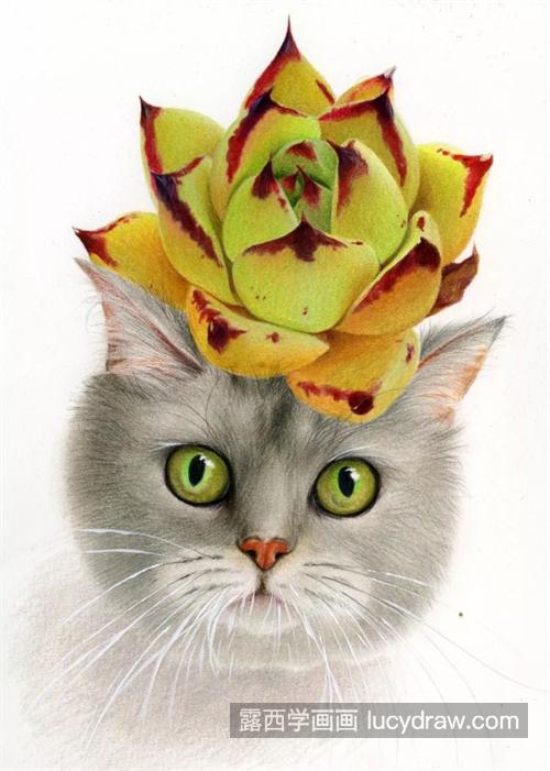 黄乌木怎么画？碧眼猫咪的彩铅画法是什么？