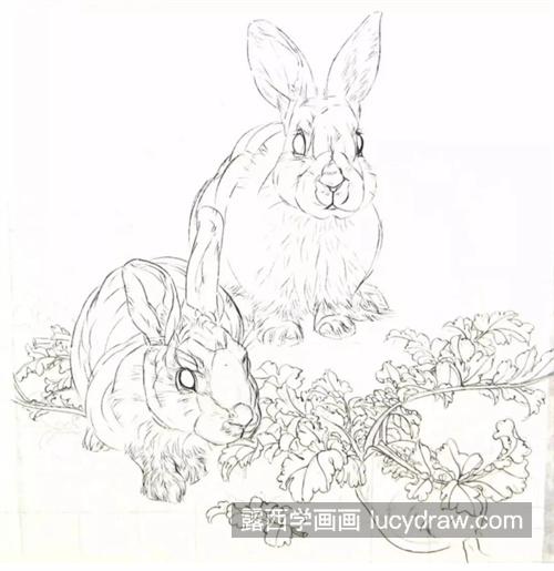 兔子吃萝卜怎么画？详细的绘画流程是什么？