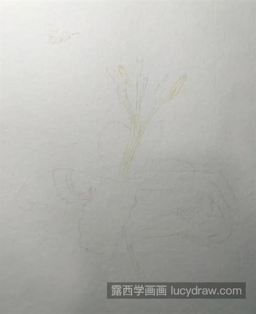 百合花怎么画？山丹花的水彩画法是什么？
