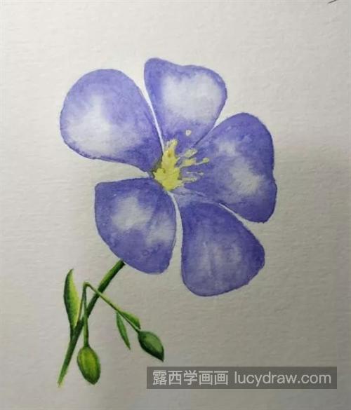 蓝色小花怎么画？详细的绘画过程是什么？