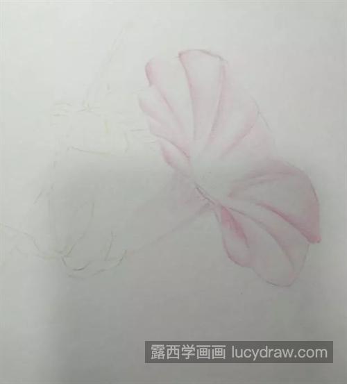 牵牛花怎么画？喇叭花的画法步骤有哪些？