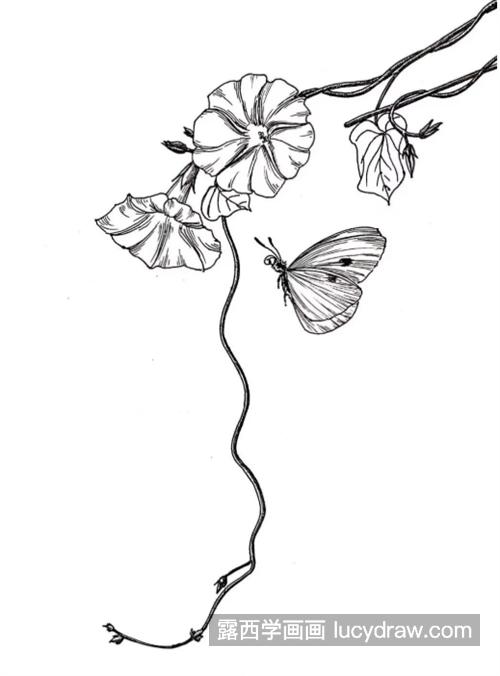 牵牛花和蝴蝶怎么画？详细的绘画流程是什么？