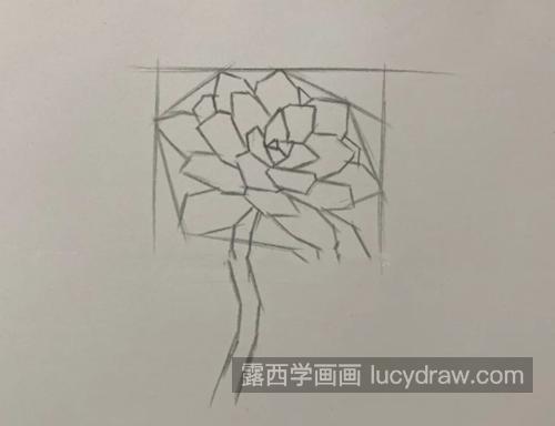 多肉怎么画？简单的素描教程是什么？