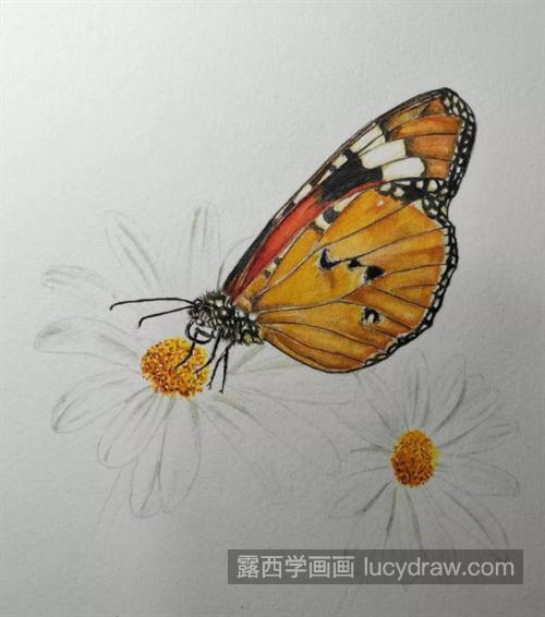 蝴蝶鲜花怎么画？如何画水彩蝶恋花？